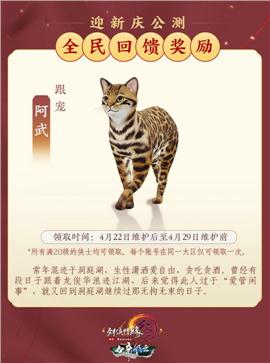 天龙八部私服如何分辨